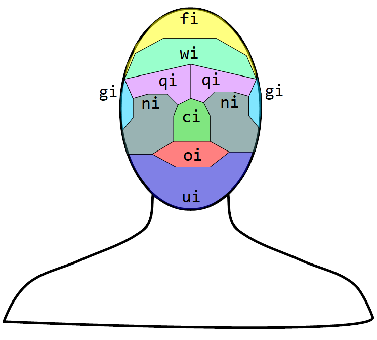 Locations on the head [i]. [di] for back of head; [fi] for crown; [wi] for forehead; [qi] for eyes; [gi] for ears; [ni] for cheeks; [ci] for nose; [oi] for mouth; and [ui] for chin.