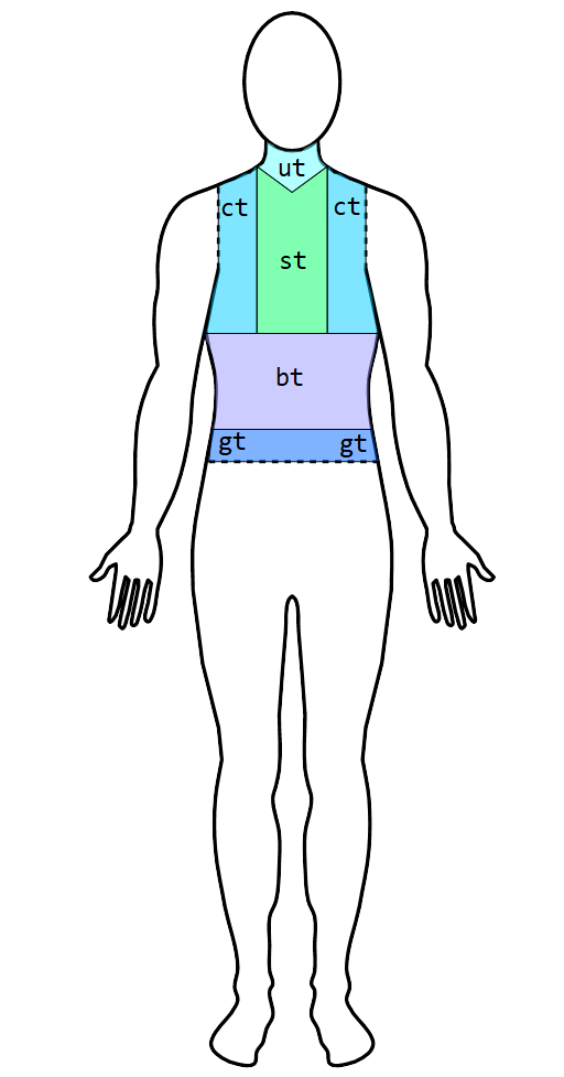 Locations on the torso [t]. [ut] for neck; [ct] for side upper torso; [st] for center upper torso; [bt] for lower torso; and [gt] for waist.