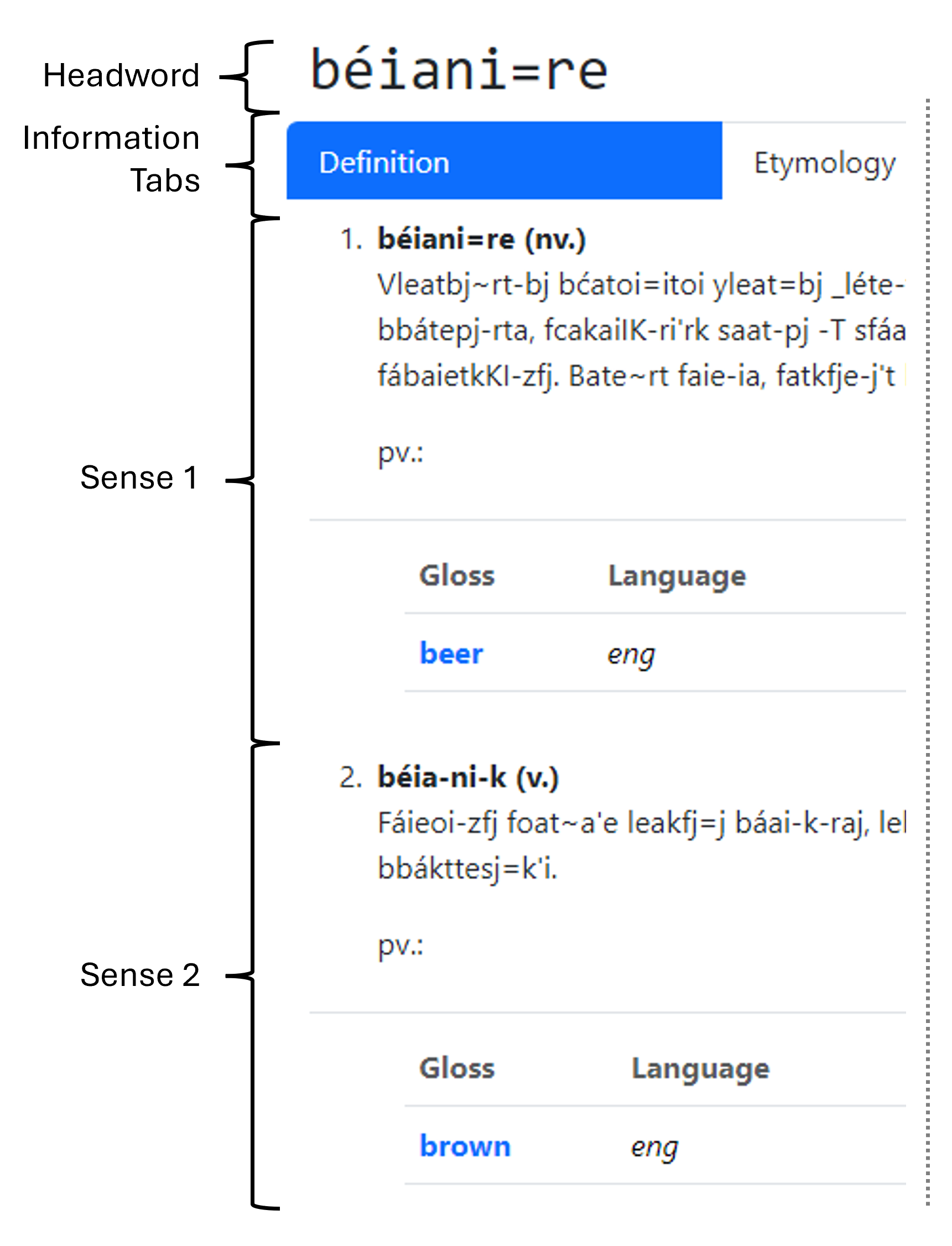 Figure 2. Definition tab for the ASL word [béiani=re], glossed in English as [beer]. A layout similar to that shown in Figure 1, but parts of the entry listed under the Definition tab are labeled vertically: Headword, Information tabs, Sense 1, and Sense 2.