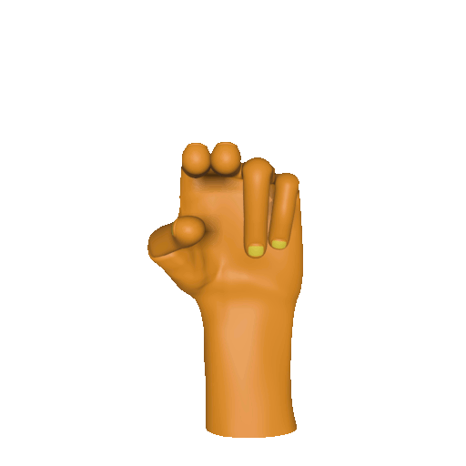 Three dimensional animation of the [hu] handshape.