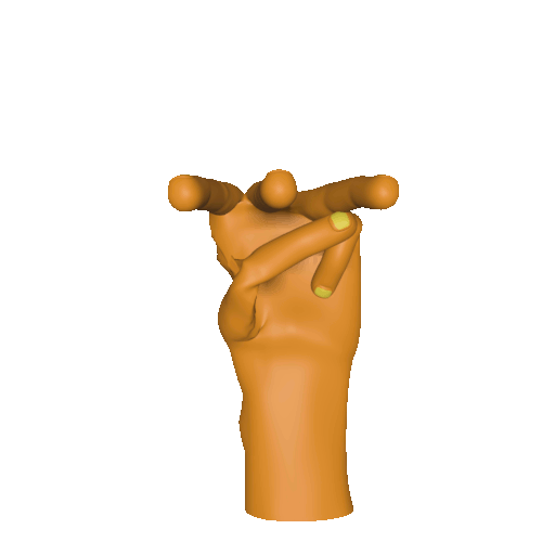 Three dimensional animation of the [wue] handshape.