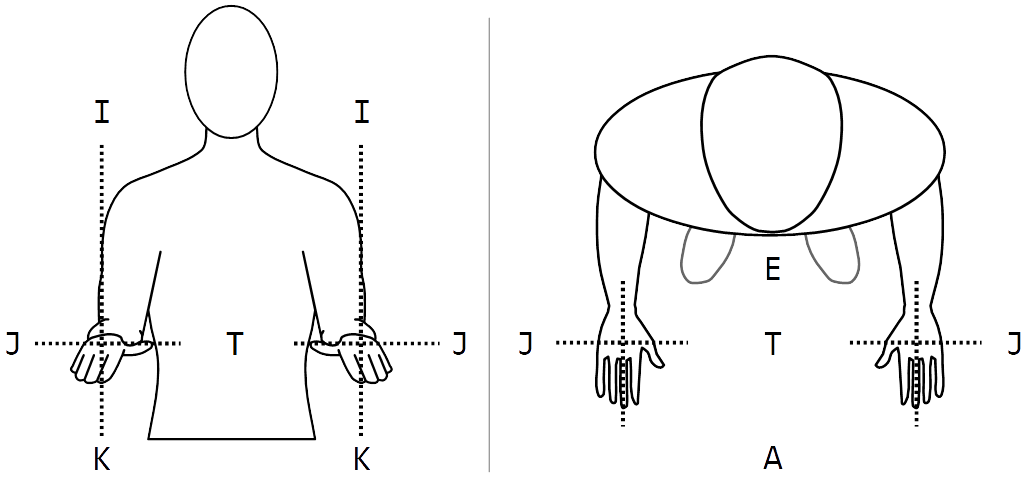 Figure 14. Diagrams of natural locations viewed from the front (left) and above (right). Both are line-drawings of a human, from the waist up, with arms bent at the elbows in right angles and hands held with palms facing downwards. Vectors overlay on both hands with dotted perpendicular lines, showing the hands' location on the [i, k] and [j, t] axes in neutral space.