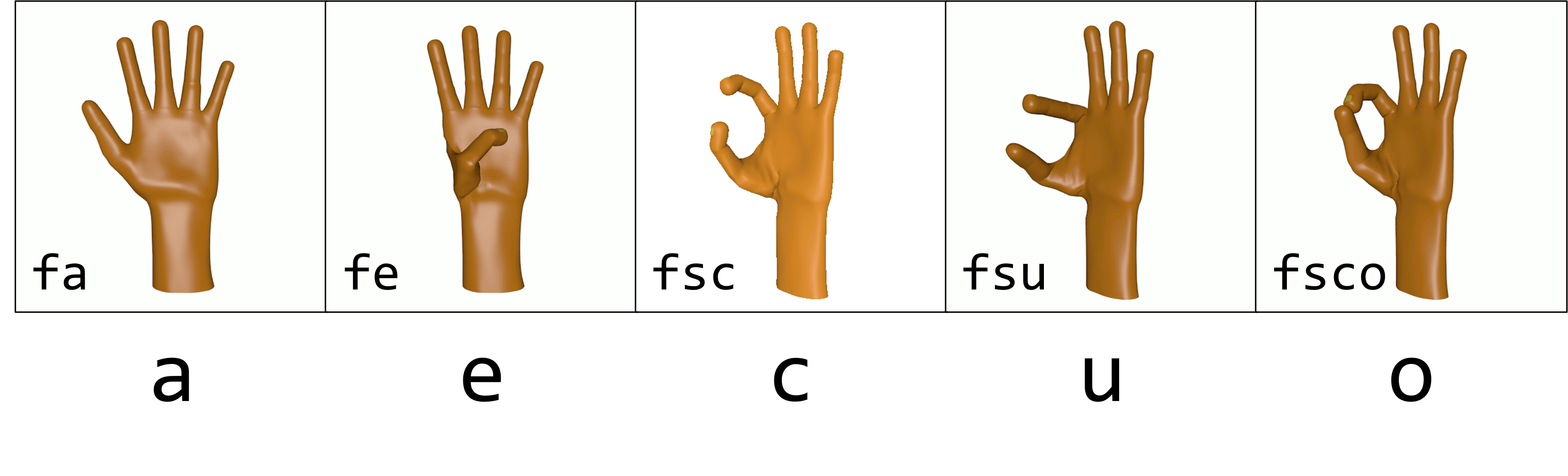 Figure 5. Examples of [f] handshapes with thumb modifiers [a, e] and thumb-finger modifiers [c, u, o]. Left to right: [fa] shows thumb extended and all fingers extended and abducted; [fe] shows thumb flexed and adducted to the palm, all fingers fully extended and abducted; [fsc] shows thumb and index fingers partially flexed towards each other but not in contact, other fingers are extended and abducted; [fsu] shows first knuckle of thumb and index finger flexed, other fingers are extended and abducted; and [fsco] shows thumb and index fingers partially flexed towards each other and in contact, other fingers are extended and abducted.