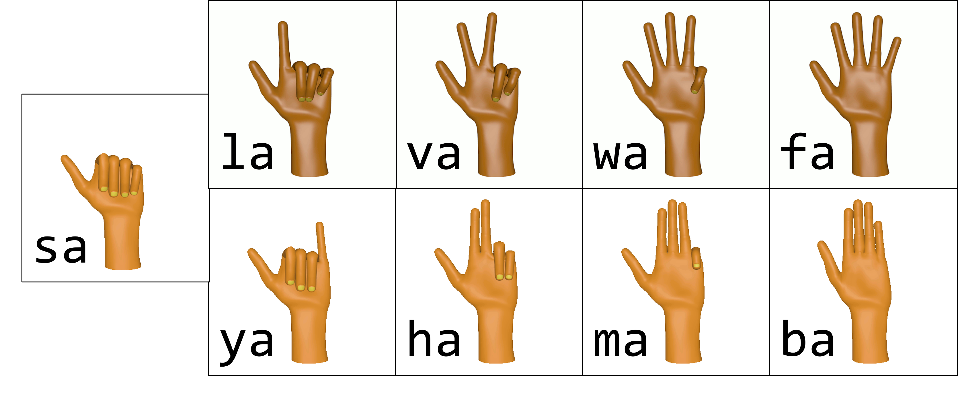 Figure 4. Examples of main handshape categories [s, l, v, w, f, y, h, m, b] with thumb modifier [a]. Left: [sa] shows thumb extended, all fingers fully flexed. Top row, left to right: [la] shows thumb and index finger extended, pinky, ring, and middle fingers fully flexed; [va] shows thumb extended, index and middle fingers extended and abducted  pinky and ring fingers fully flexed; [wa] shows thumb extended, index, middle, and ring fingers extended and abducted, pinky finger fully flexed; [fa] shows the thumb extended, all fingers extended and abducted. Bottom row, left to right: [ya] shows the thumb and pinky finger extended, other fingers fully flexed; [ha] shows the thumb extended, index and middle finger extended and adducted, ring and pinky finger fully flexed; [ma] shows thumb extended, index, middle, and ring finger extended and adducted, pinky finger fully flexed; [ba] shows thumb extended, all fingers extended and adducted.