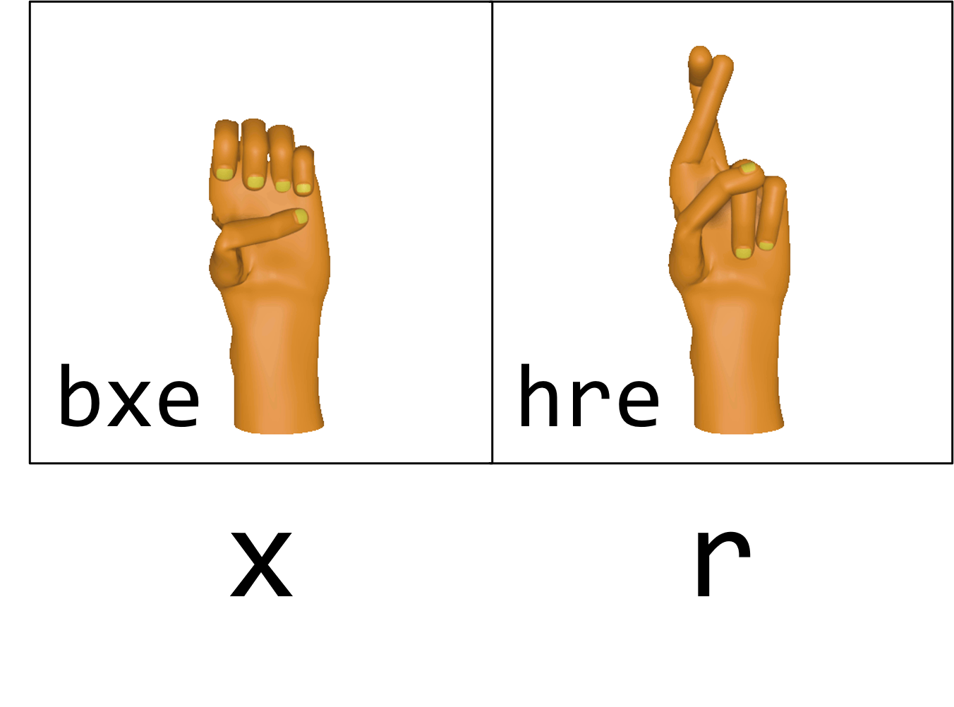 Figure 6. Examples of handshapes with finger modifiers [x, r]. Left: handshape [bxe] shows thumb flexed and adducted to the palm, all fingers are flexed at second and third knuckles and abducted. Right: handshape [hre] shows thumb flexed and adducted to the palm, index and middle fingers extended and crossed, ring and pinky fingers fully flexed.