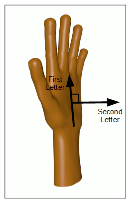 Figure 9. Diagram of the plane of the hand vectors. Drawing of a left hand, oriented with fingers pointing up and palm facing to the right. Line-drawing overlay with 2 arrows (vectors) originating at the center of the palm with a right-angle symbol, one arrow pointing upwards and the other pointing perpendicularly outwards from the palm.